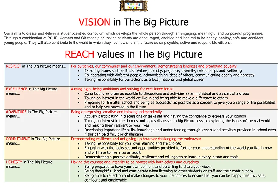 REACH-and-Vision-in-The-Big-Picture