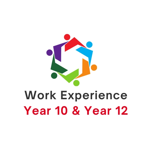 Work Experience