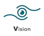 VI HGS_Vision Icon (1)
