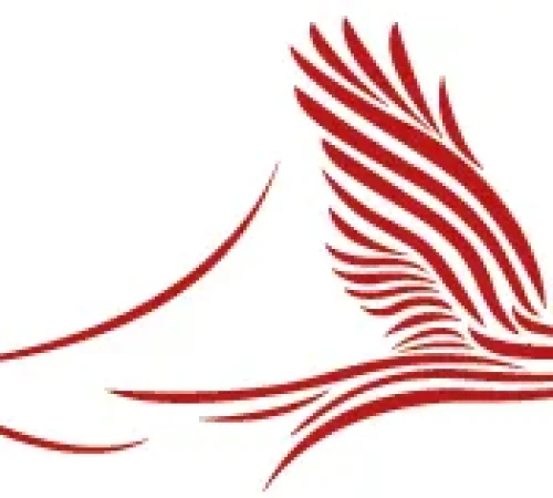 red bird