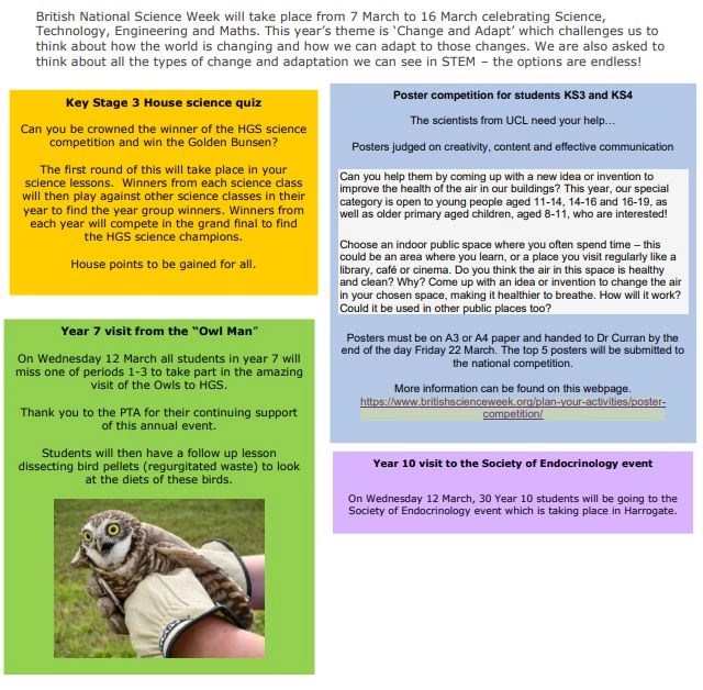 bsw text