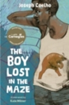 the boy lost in the maze